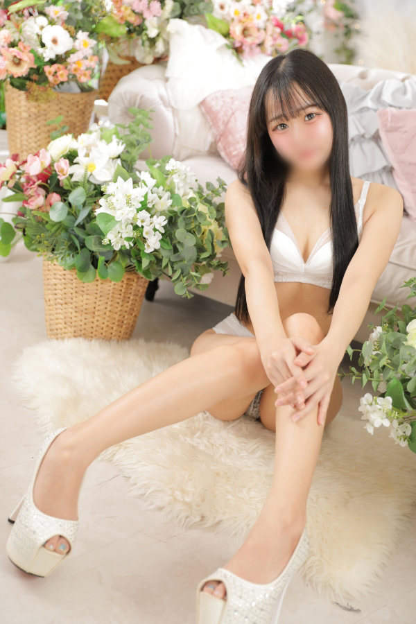 「アネモネ」の写真